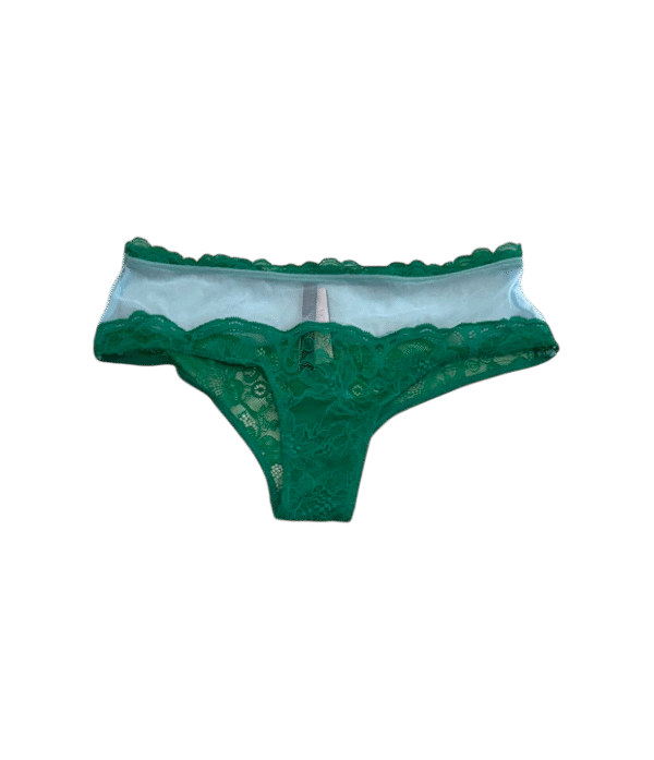 IMG_0085 Panty Victoria unica