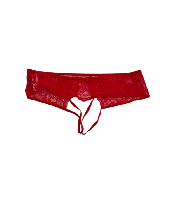 IMG_0087 Panty Shine Strap VS