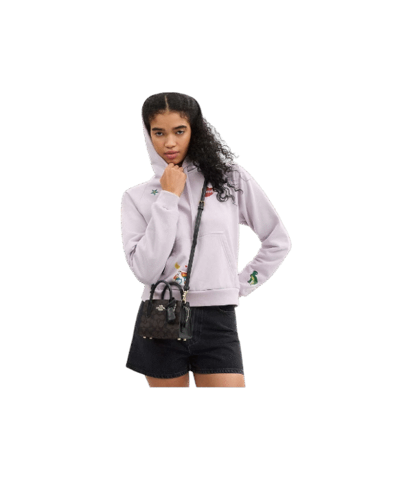 Crossbody coach andrea mini castaño negro