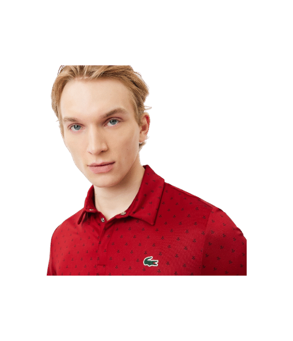 Polo lacoste clasic