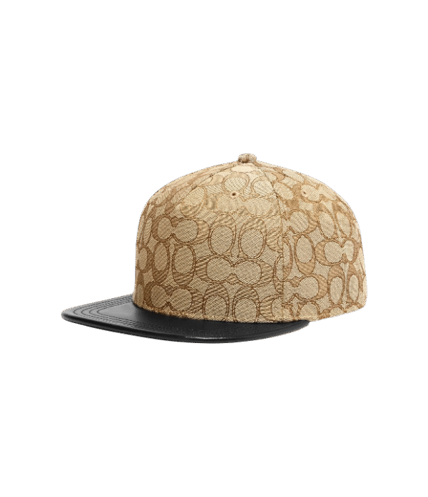 IMG_7490 Gorra coach café con logo plana