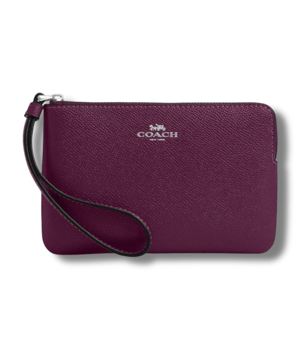 IMG_2932 Muñequera Coach de un cierre