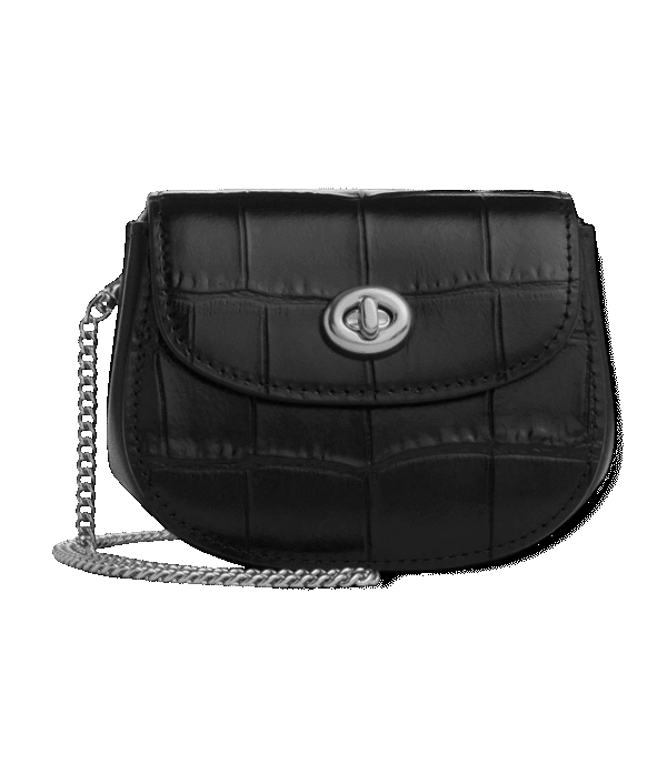 Mini Crossbody Coach