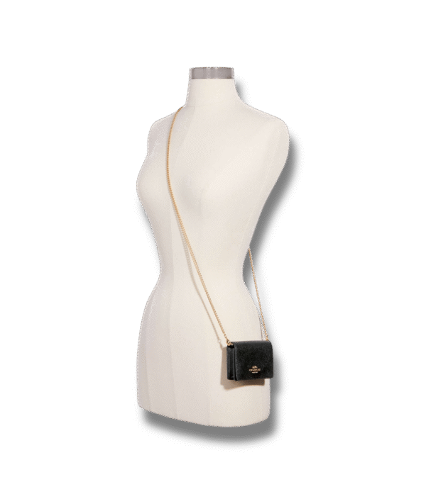 Mini Crossbody Coach